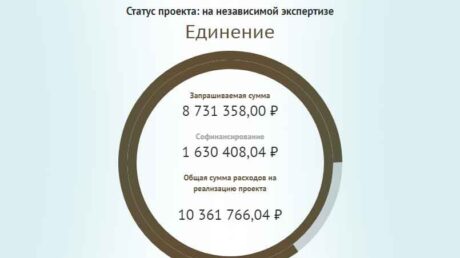 Проект РССИ «Единение»